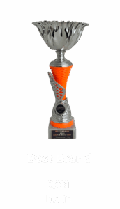 Award_best_brand