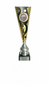 Award_best_brand