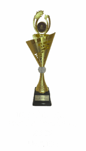 Award_top