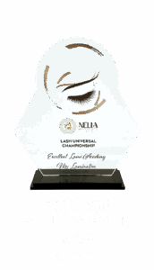 award_excellent_lami_academy_2024_cyprus.png