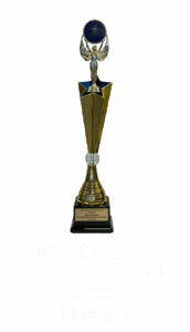 award_top_the_best